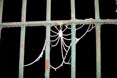 Dark Impressions -  Frozen Web 1