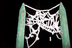 Dark Impressions -  Frozen Web  3
