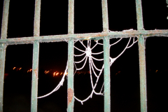 Dark Impressions -  Frozen Web  2