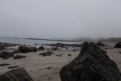 Rebitten  By The Lizard  - Mist