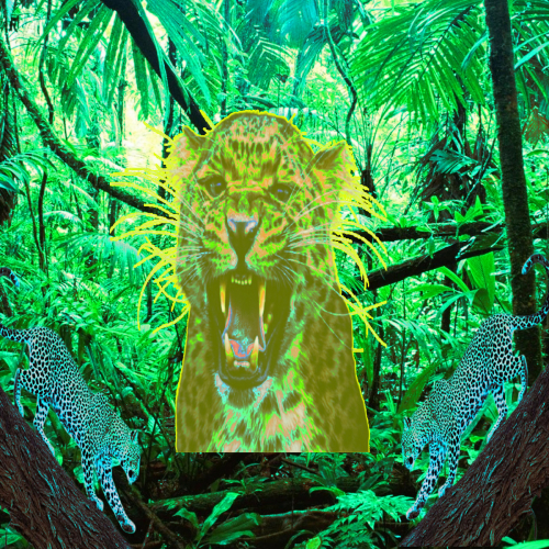 Its-A-Jungle