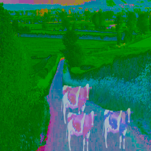 Moooove
