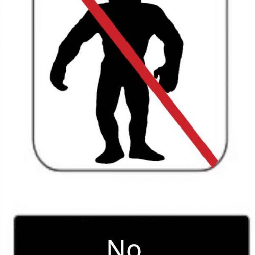 No-Big-Foot