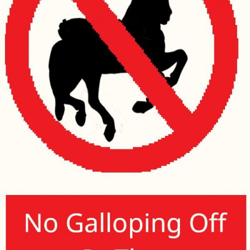 No-Galloping
