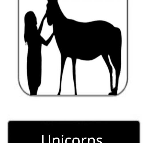 Unicorns-Allowed